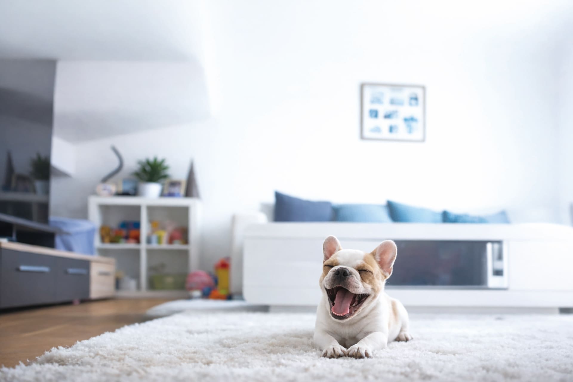家族と犬がリビングでくつろぐ様子